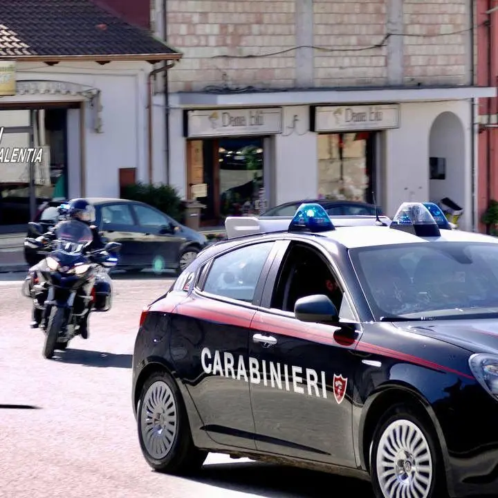 Cavallo di ritorno tra Gioia Tauro e il Vibonese, sgominata una banda di sette persone - Nomi