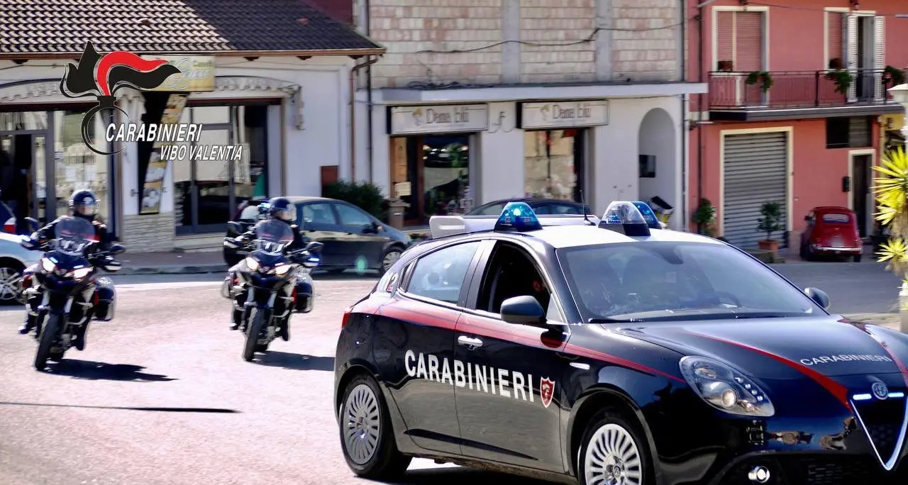 Armi e munizioni ritirate in tre comuni del Vibonese: controlli dei carabinieri tra Filandari, Acquaro e Mileto\n
