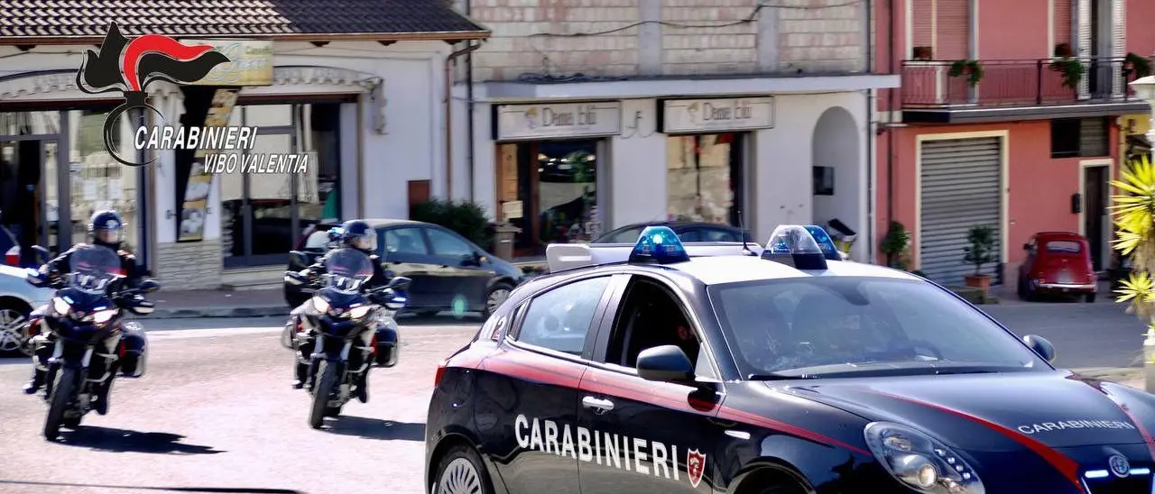 Cavallo di ritorno tra Gioia Tauro e il Vibonese, sgominata una banda di sette persone - Nomi