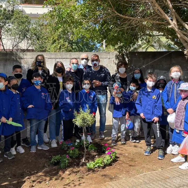Vibo Marina, i bambini dell’Amerigo Vespucci piantano ulivi in ricordo delle vittime del Covid -Video