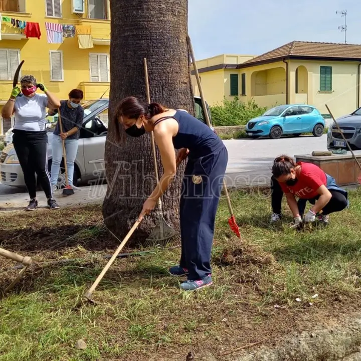 Tornano i fiori nelle aiuole di Vibo Marina grazie ad alunni, mamme e prof