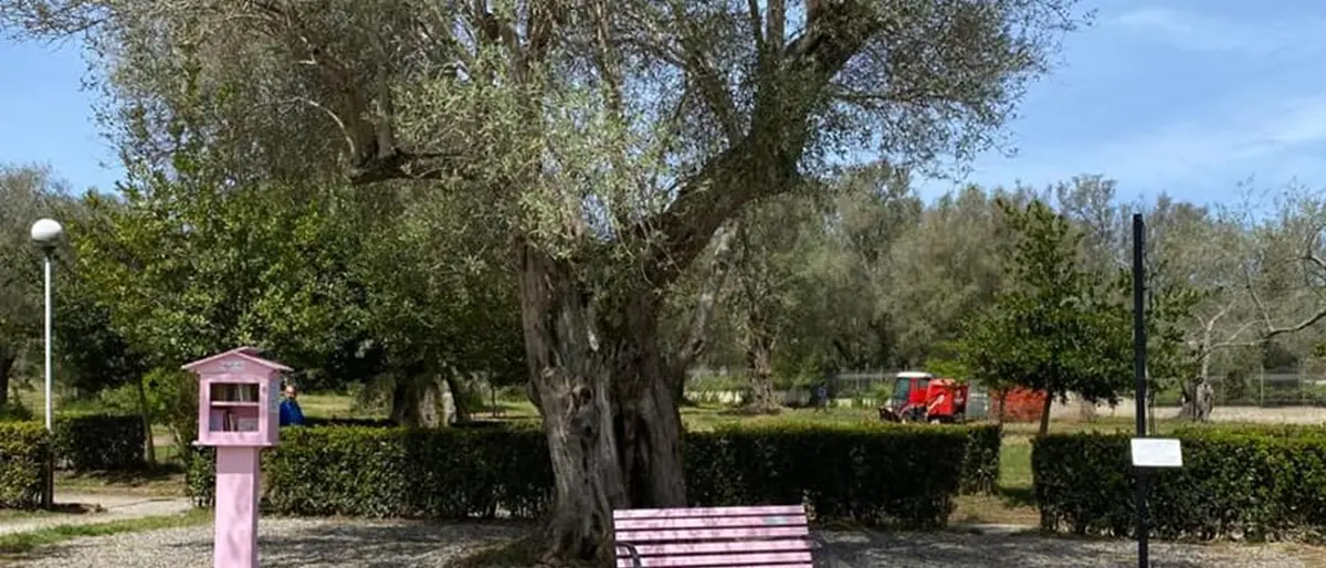 Vibo Valentia, al Parco urbano torna la mini biblioteca rosa