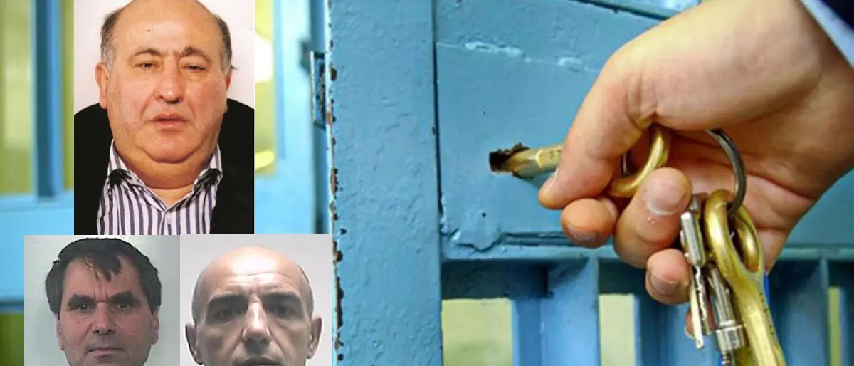 Il boss Pino Piromalli, il ritorno in libertà ed i legami con il Vibonese