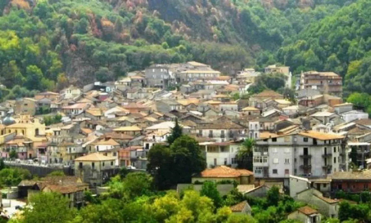 Gerocarne, dai tornei alla fotografia fino al centro estivo: tre mesi di iniziative con la Progerocarnese\n
