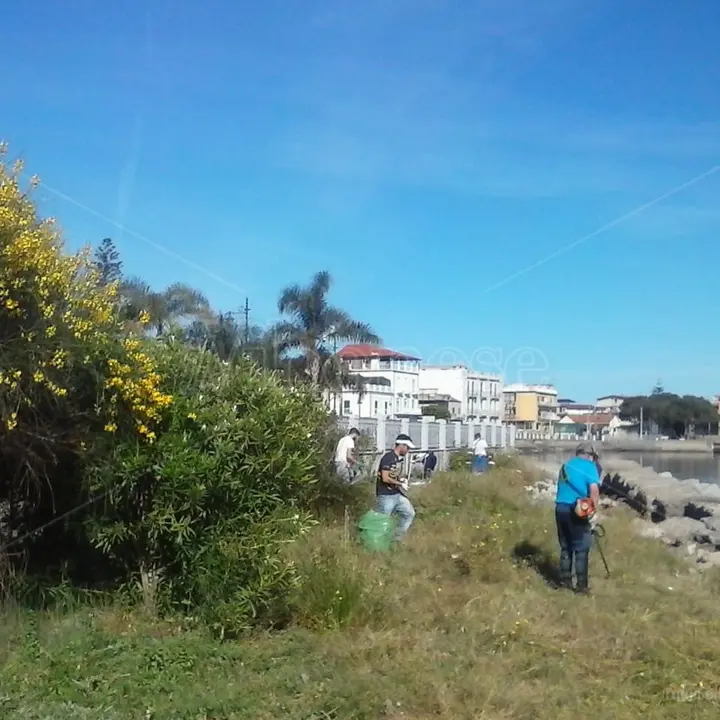 Vibo Marina, volontari in azione per pulire il lungomare Colombo