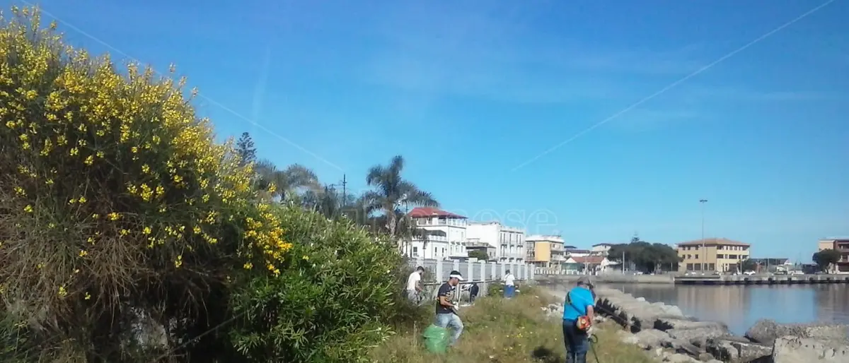Vibo Marina, volontari in azione per pulire il lungomare Colombo