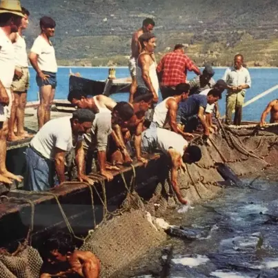 Pizzitani “mangiagàrgi” e vibonesi “cardijàri”: rivalità a colpi di nomignoli