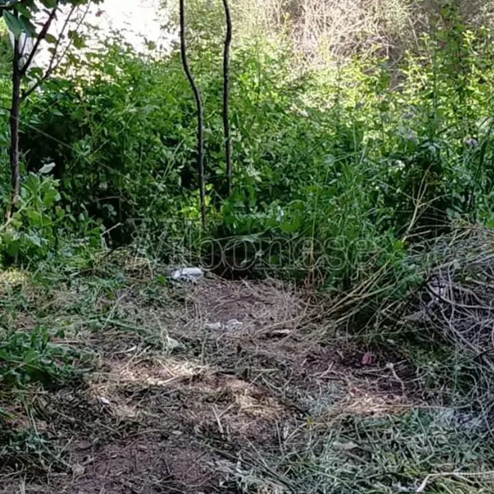 Tragedia a Cessaniti: anziano precipita in un burrone e muore