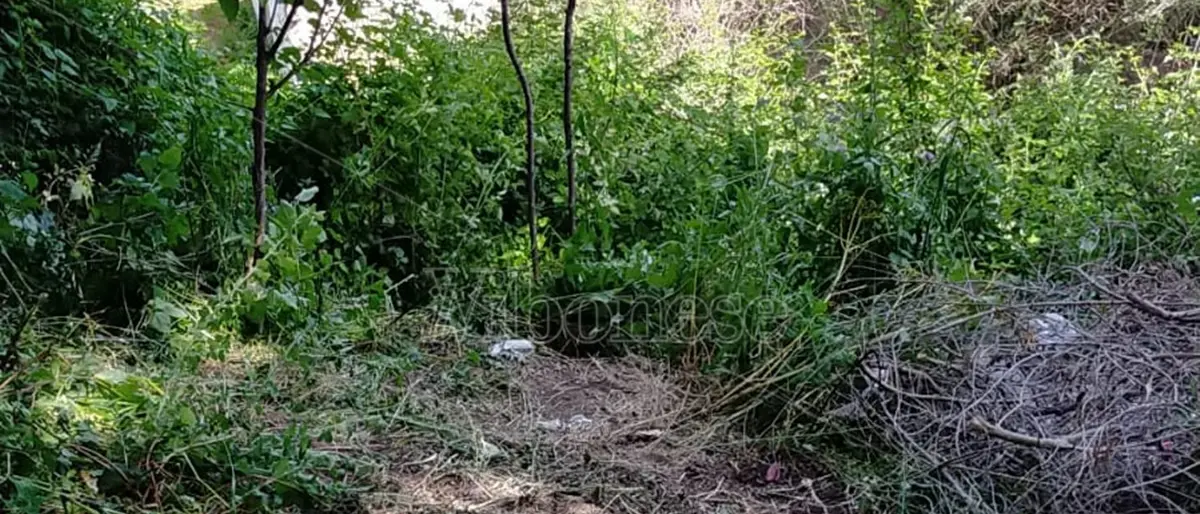 Tragedia a Cessaniti: anziano precipita in un burrone e muore