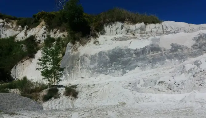 Cessaniti ospita i travel influencer di Tik tok: tappa anche al sito paleontologico