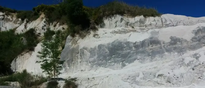 Cessaniti ospita i travel influencer di Tik tok: tappa anche al sito paleontologico