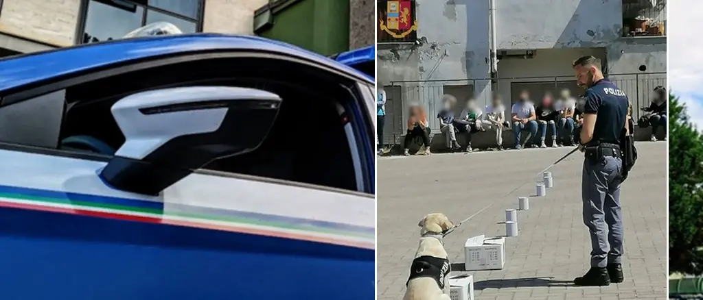 Nicotera, gli studenti incontrano la squadra cinofili e il cane poliziotto Malakeh