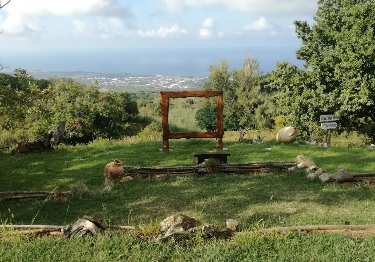 Regione Calabria e Gal Terre vibonesi puntano sull'agricoltura sociale - Video