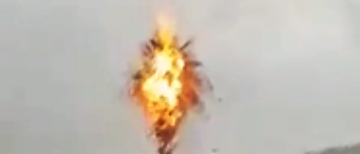 Maltempo, a Santa Domenica fulmine colpisce e manda a fuoco una palma -Video