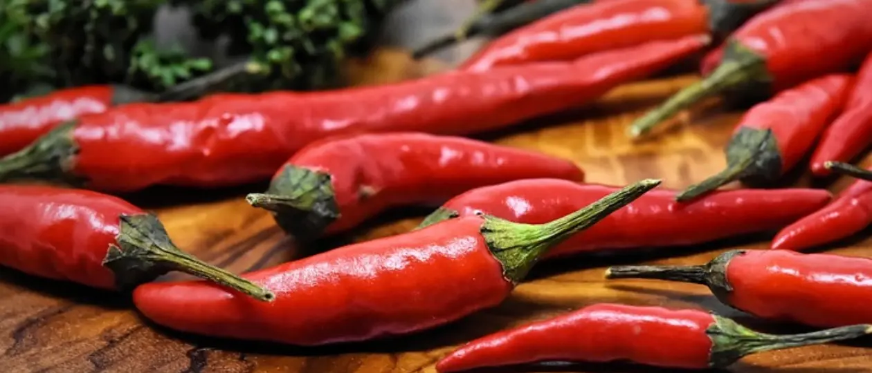 Il peperoncino calabrese nei sughi Barilla: da spezia dei poveri ai grandi mercati