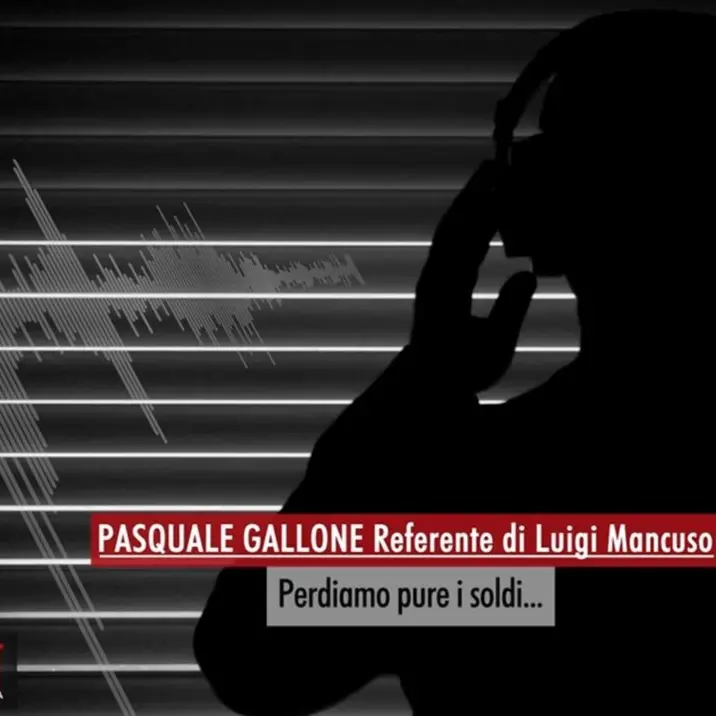 «Se lo ammazziamo perdiamo soldi»: gli affari dei clan nel format Rinascita Scott