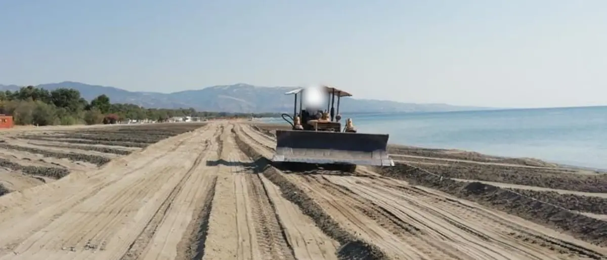 Nidi di tartarughe marine a rischio, l'appello di Wwf: «Stop a ruspe sulle spiagge»