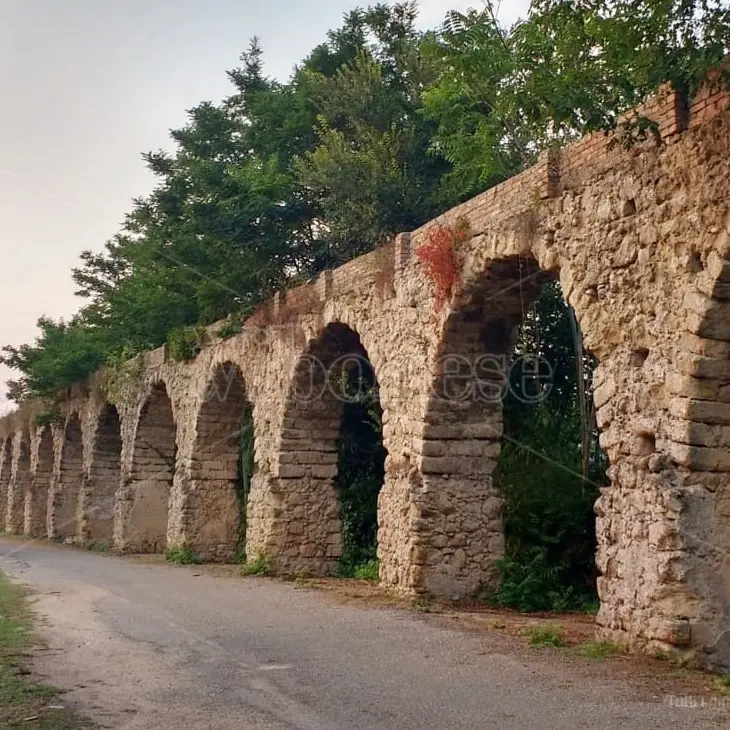 In viaggio alla scoperta della terra d’origine, anche Spilinga punta sul turismo delle radici