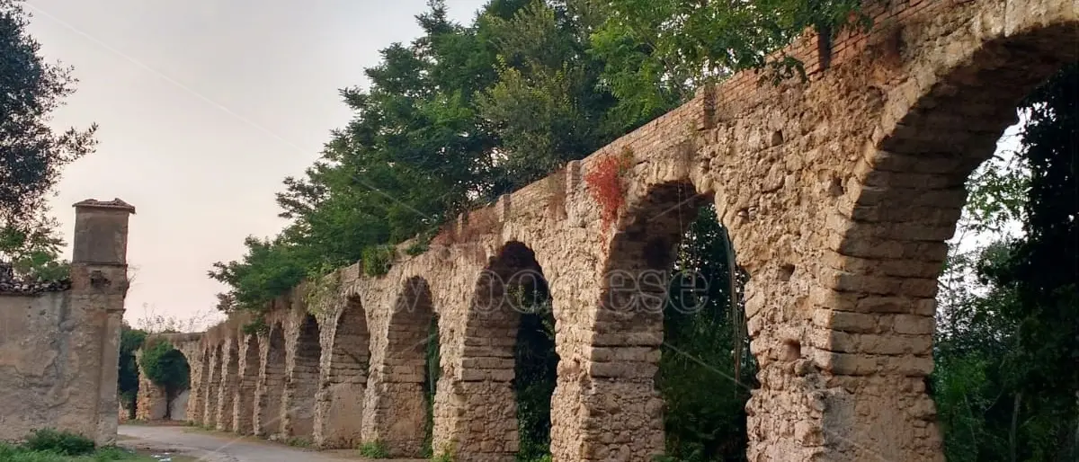 In viaggio alla scoperta della terra d’origine, anche Spilinga punta sul turismo delle radici