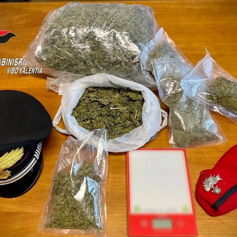 Marijuana a Nicotera, scarcerato l'indagato arrestato dai carabinieri