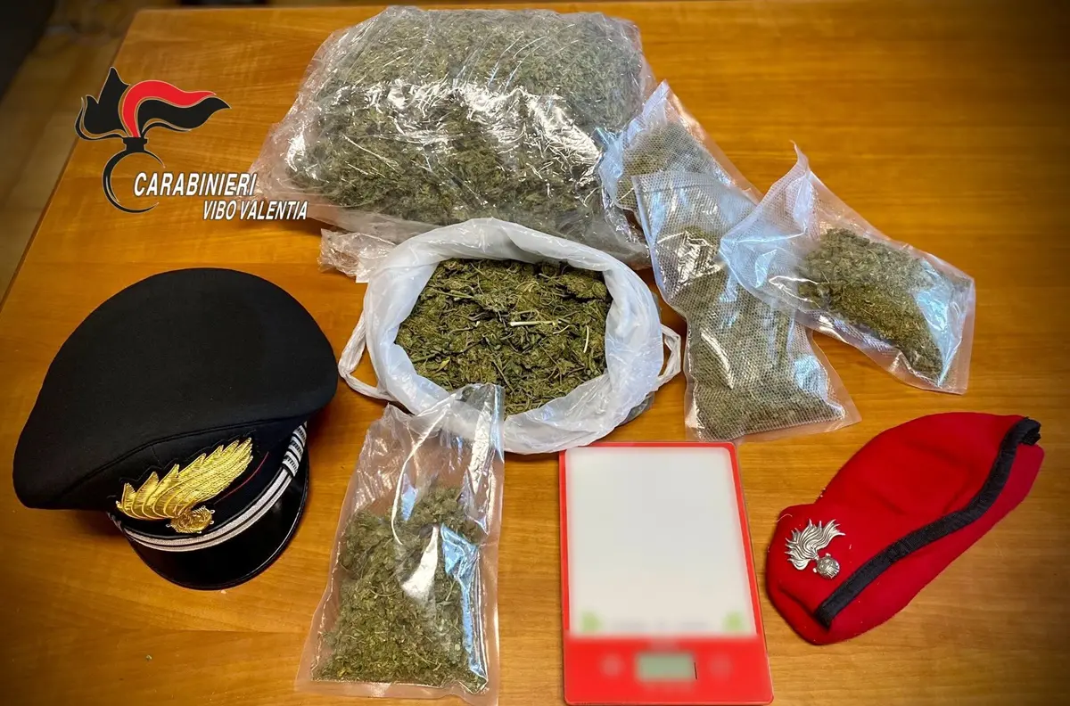 Marijuana a Nicotera, scarcerato l'indagato arrestato dai carabinieri