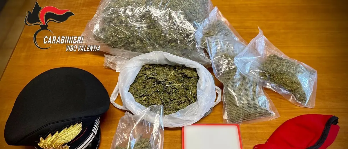 Marijuana a Nicotera, scarcerato l'indagato arrestato dai carabinieri
