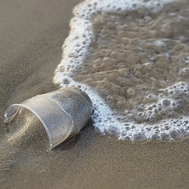 Spiagge libere da plastica e rifiuti, i volontari Wwf fanno tappa a Tropea