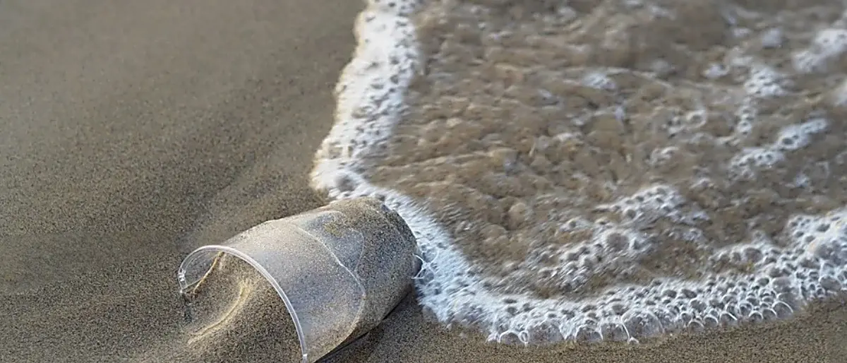 Spiagge libere da plastica e rifiuti, i volontari Wwf fanno tappa a Tropea