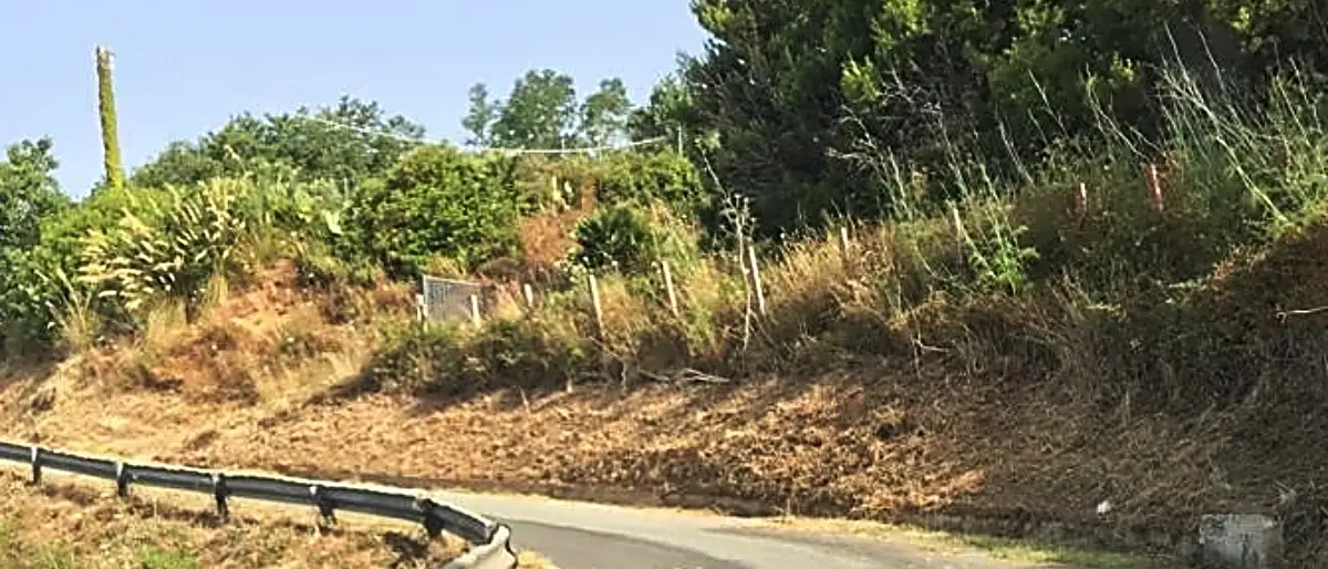 Al via i lavori di messa in sicurezza della Sp Joppolo-Monte Poro