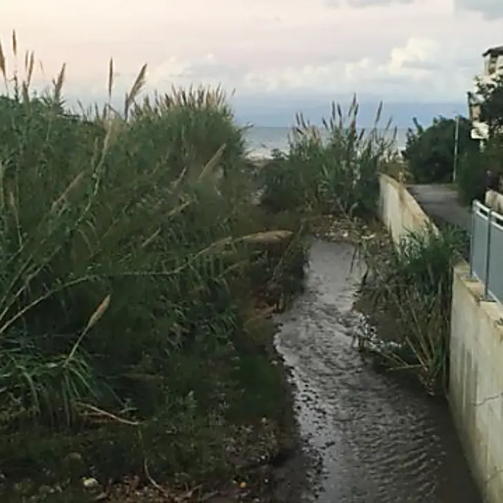 Torrente Sant'Anna a Bivona, Soriano (Pd) chiede maggiore attenzione