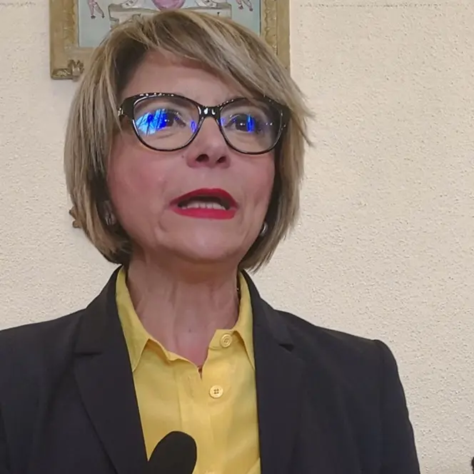 Comune di Vibo e dissesto, il sindaco Limardo: «È lo Stato che ti manda in default»