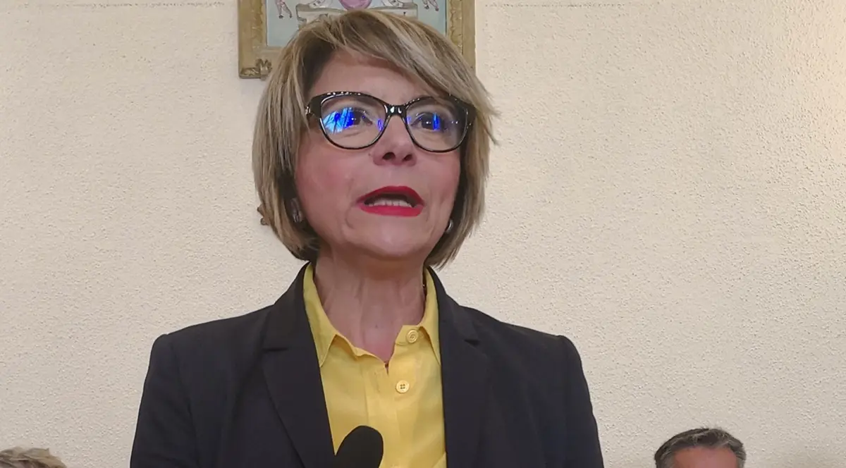 Aggressione al Pronto soccorso di Vibo, l'affondo del sindaco: «Episodio inqualificabile»