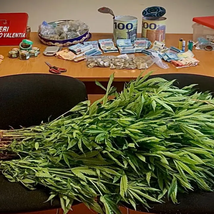 Marijuana e 5mila euro nascosti in campagna, un arresto nel Vibonese