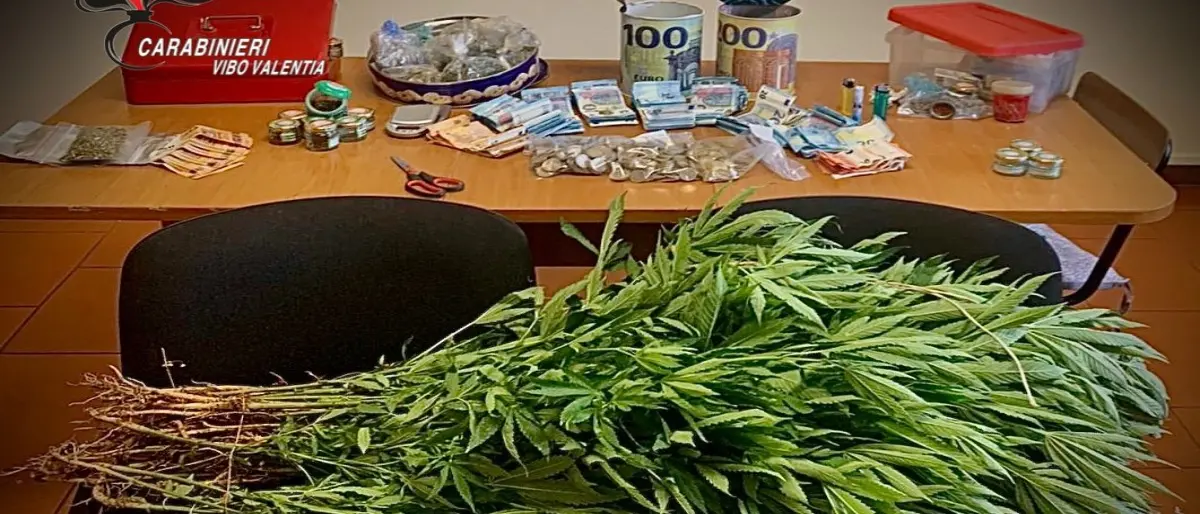 Marijuana e 5mila euro nascosti in campagna, un arresto nel Vibonese