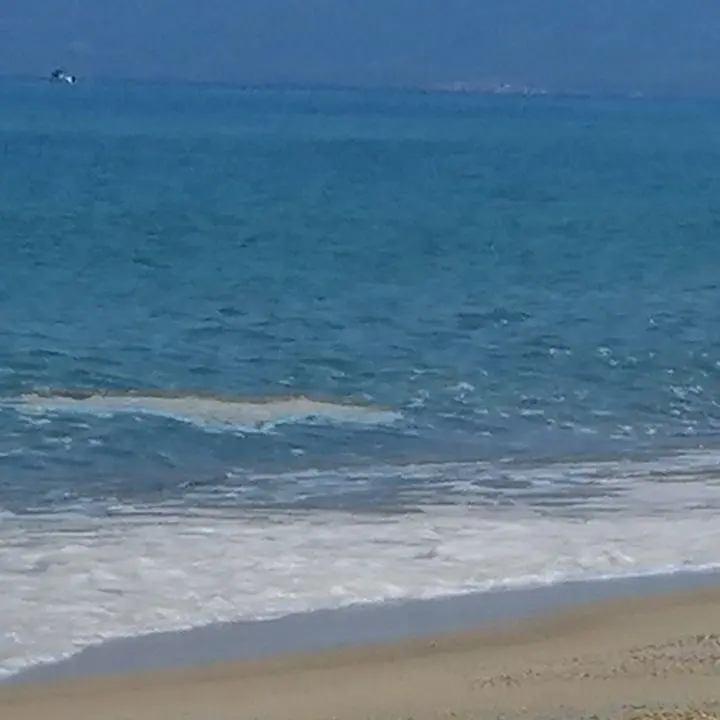 Mare sporco e possibili soluzioni in vista dell'estate, Amici del Mare e Usb incontrano il sindaco