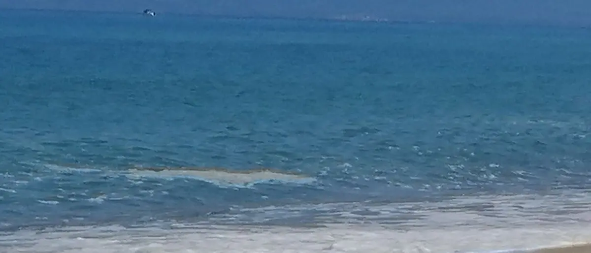 Mare sporco e possibili soluzioni in vista dell'estate, Amici del Mare e Usb incontrano il sindaco