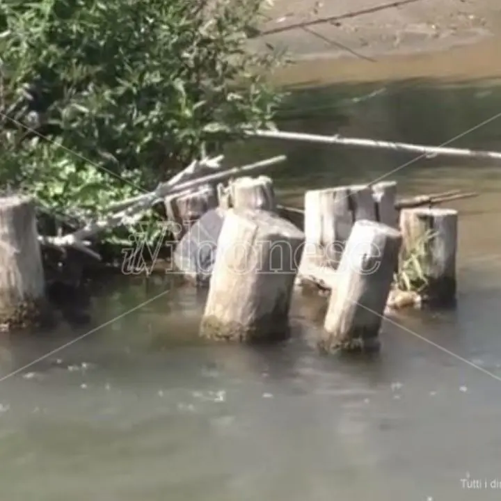 «Non sbarrate il fiume Mesima», il Wwf Calabria diffida la Regione - VIDEO