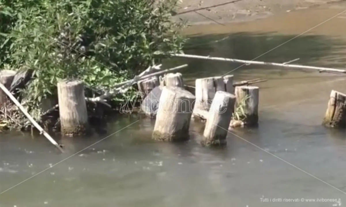 «Non sbarrate il fiume Mesima», il Wwf Calabria diffida la Regione - VIDEO