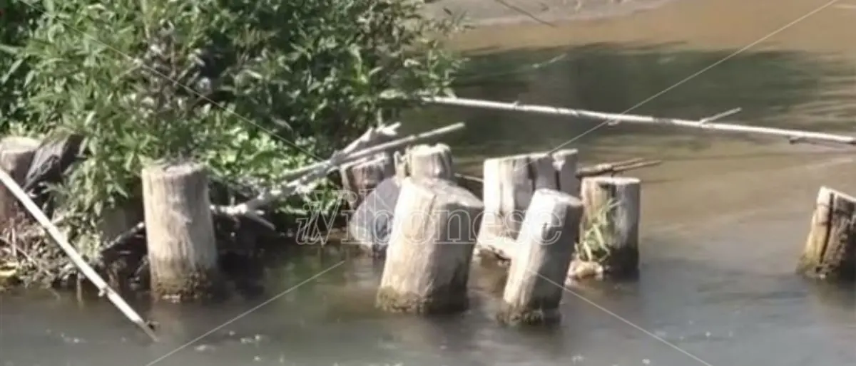 «Non sbarrate il fiume Mesima», il Wwf Calabria diffida la Regione - VIDEO