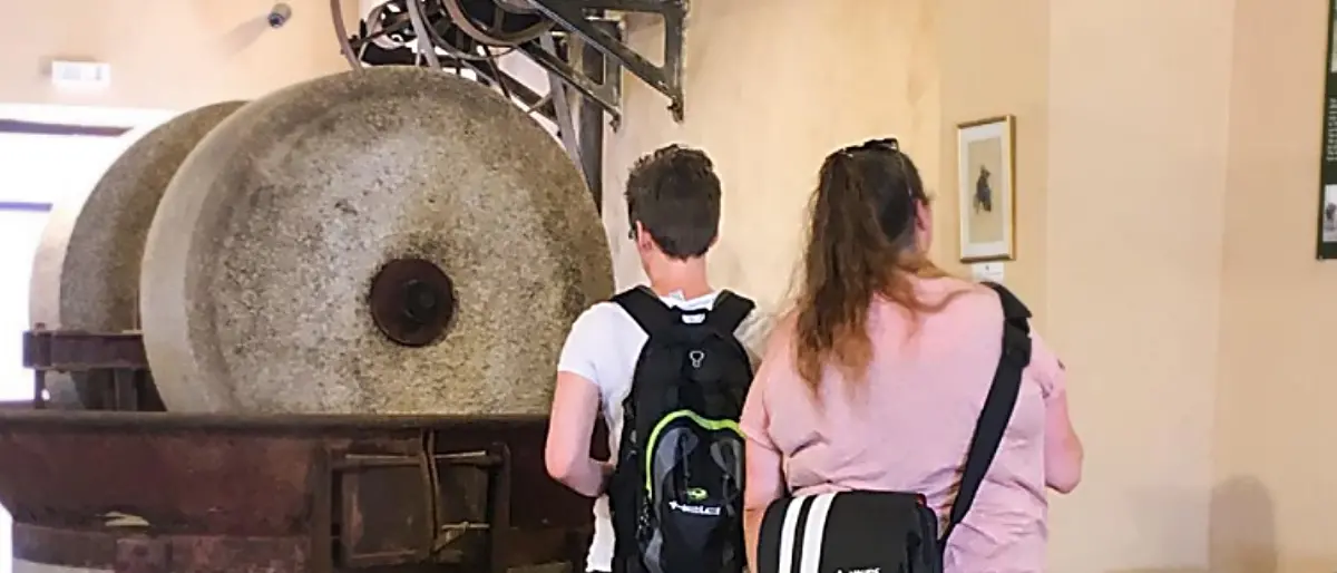 Ricadi, il Comune cerca tre volontari per la promozione del museo