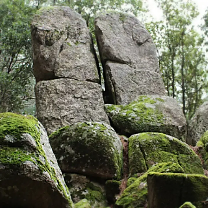 Nardodipace, Megalithos festival al via: «Così faremo conoscere i nostri megaliti»