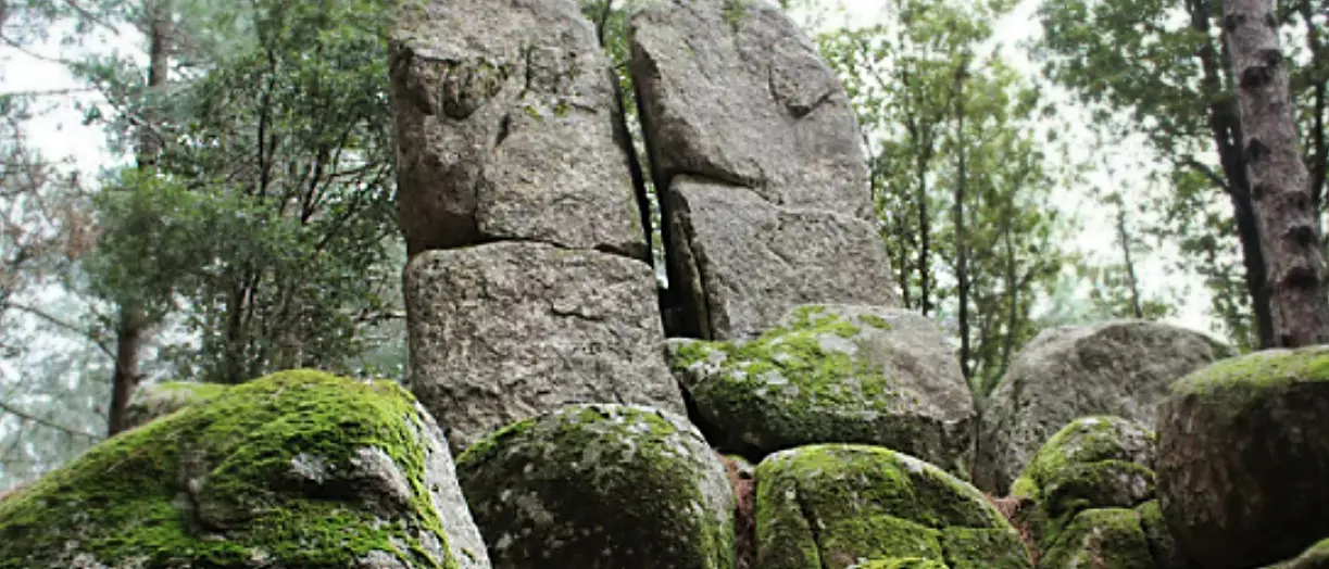 I megaliti di Nardodipace senza tutela, il Comune chiede che siano inclusi nel Parco delle Serre