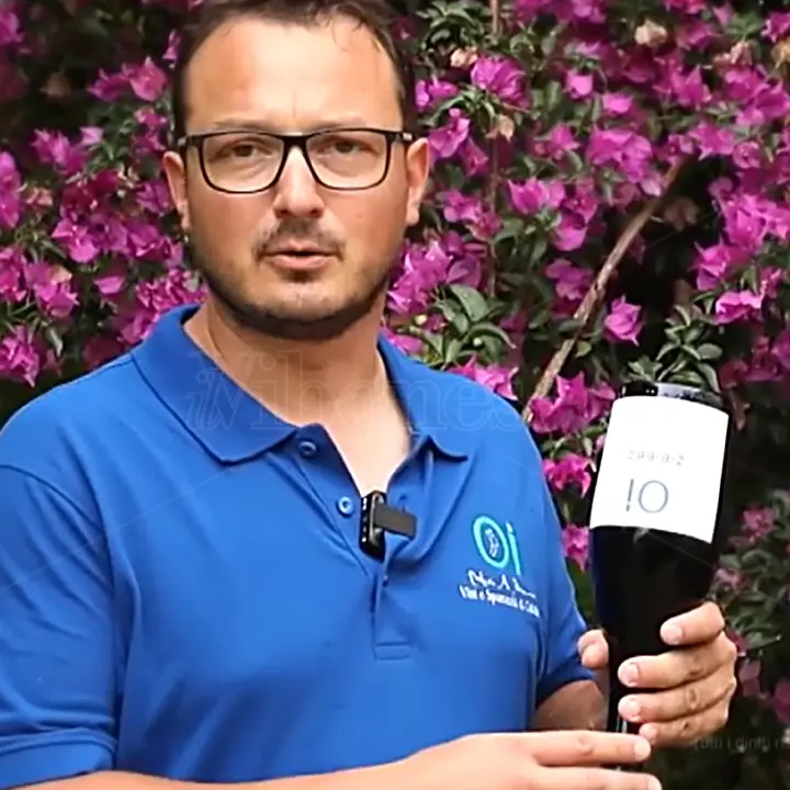 Il primo spumante calabrese da Zibibbo viene dal Vibonese: lo produce un giovane di Tropea - Video