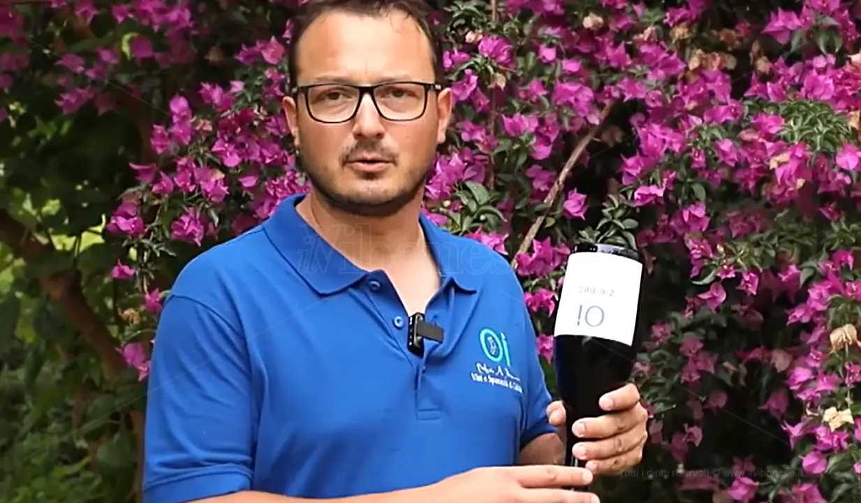 Il primo spumante calabrese da Zibibbo viene dal Vibonese: lo produce un giovane di Tropea - Video