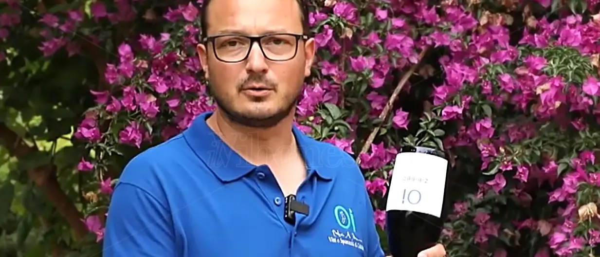 Il primo spumante calabrese da Zibibbo viene dal Vibonese: lo produce un giovane di Tropea - Video