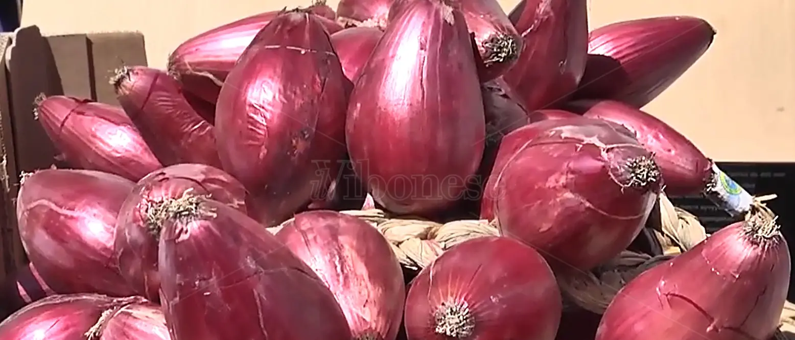 A Tropea va in scena la terza e ultima giornata del Cipolla party - Video