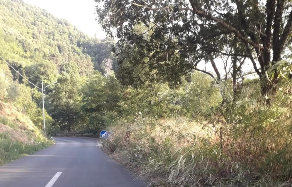 Polia, strade abbandonate: ex consigliere “striglia” la Provincia di Vibo