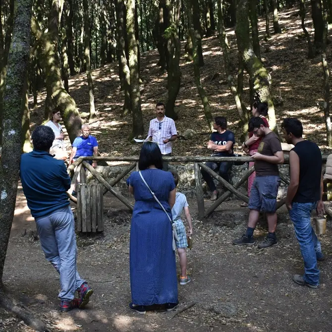 Nardodipace, conclusa la prima edizione il “Megalithos Festival”