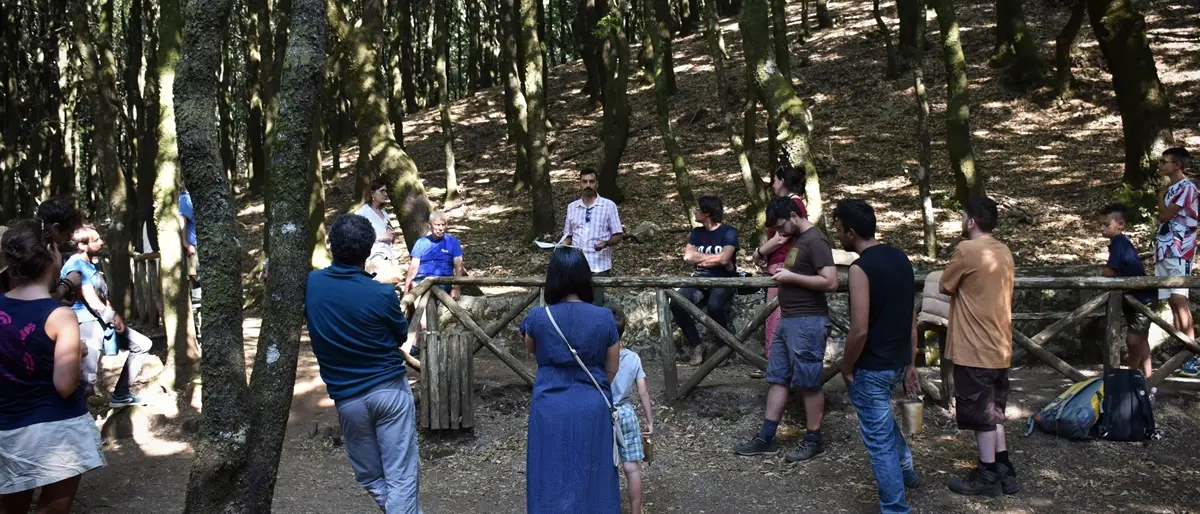 Nardodipace, conclusa la prima edizione il “Megalithos Festival”