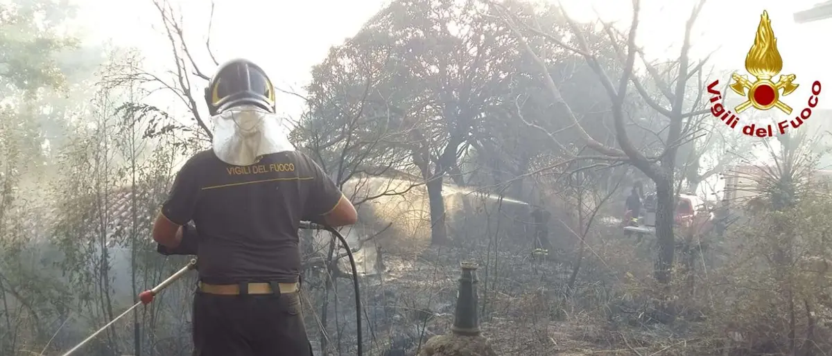 Incendi in Calabria, il sottosegretario Dalila Nesci: «Il Governo ha risposto»